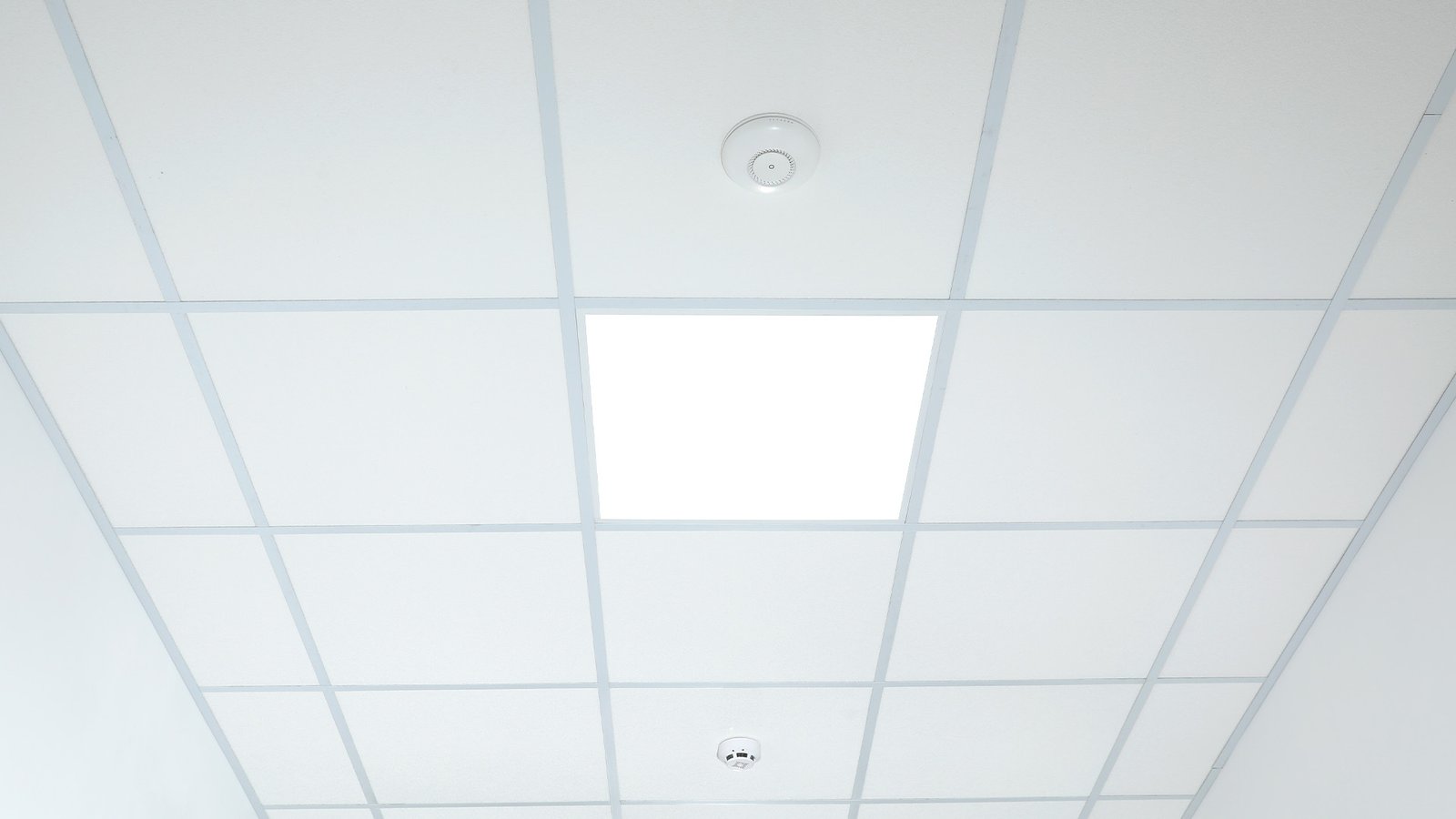 falsos techos registrables